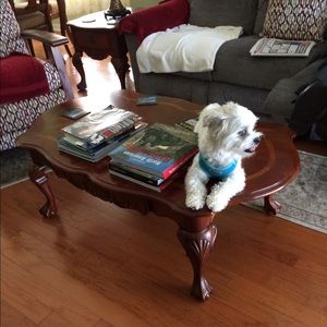 Meet your Posher, Catherine